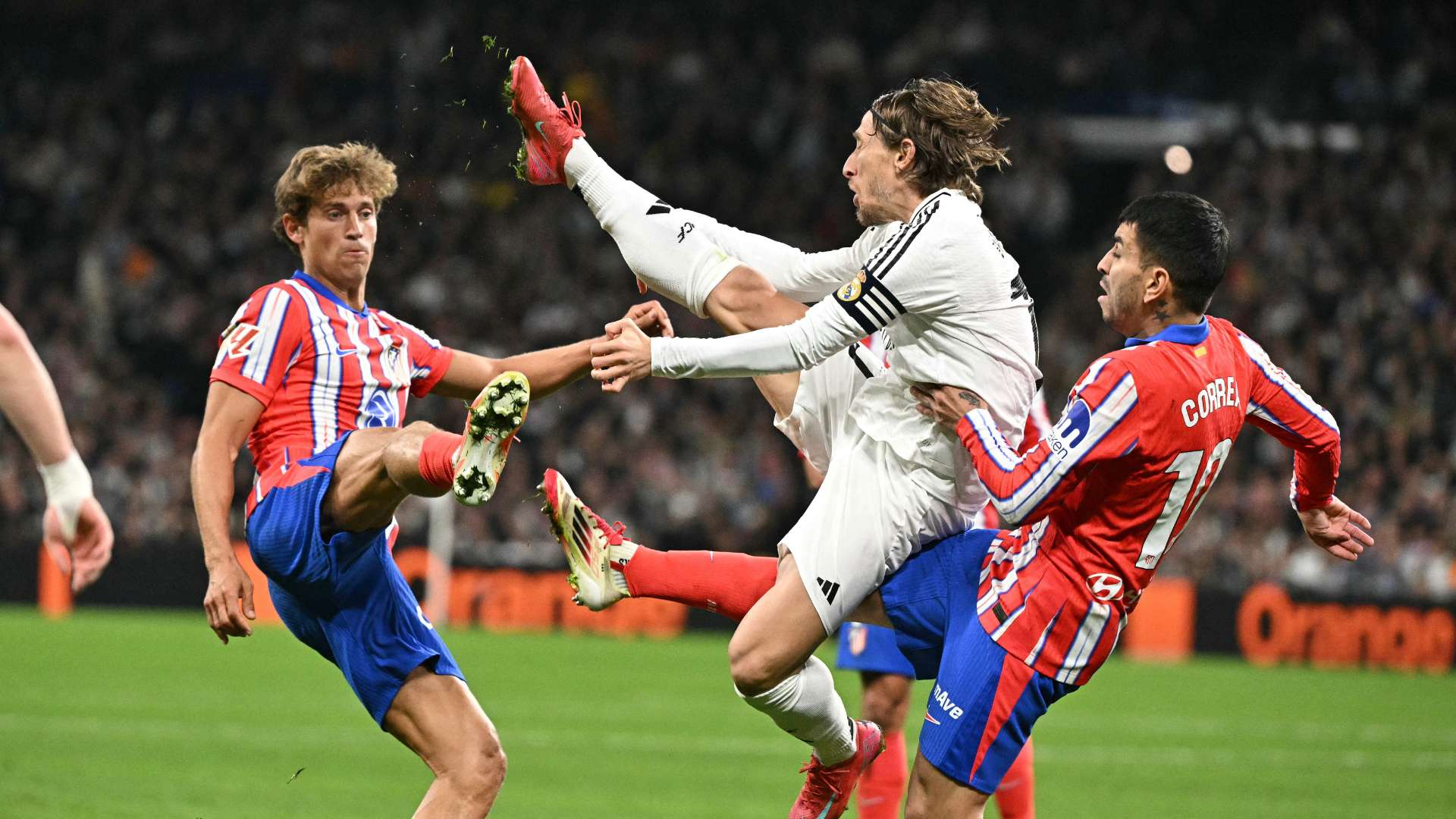 这样一个典 这样一个典